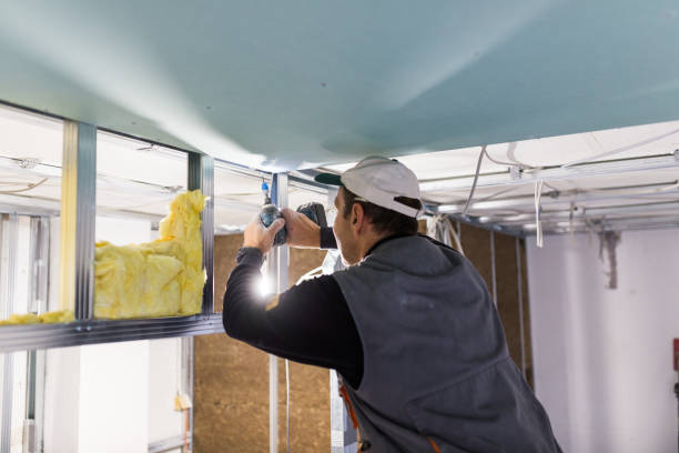 Best Insulation Installation Services in Chimayo, NM
