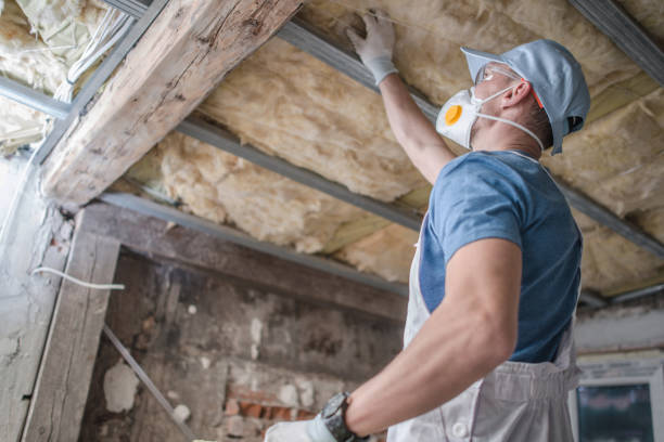 Best Specialty Insulation in Chimayo, NM